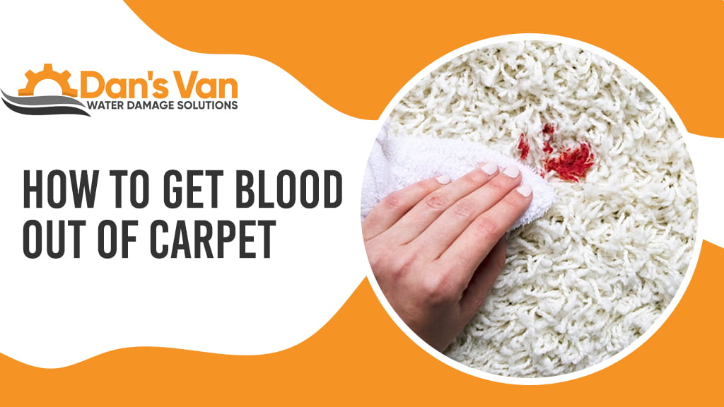 Swift Solutions to Get Blood Out of Your Carpet Flawlessly