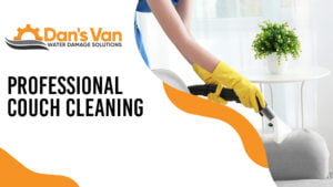 Professional Couch Cleaning